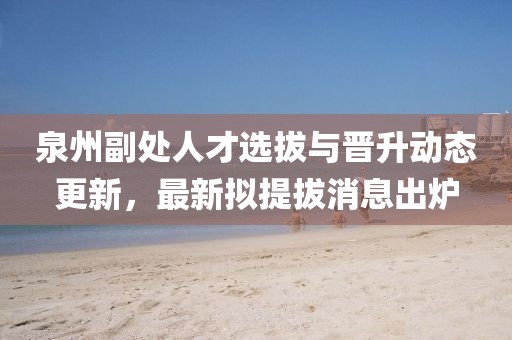 泉州副處人才選拔與晉升動(dòng)態(tài)更新，最新擬提拔消息出爐