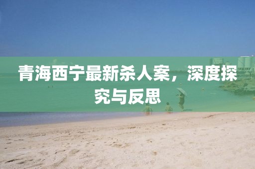 青海西寧最新殺人案，深度探究與反思