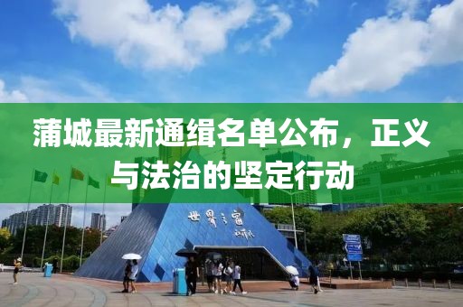 蒲城最新通緝名單公布，正義與法治的堅定行動
