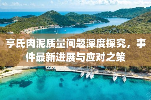 亨氏肉泥質(zhì)量問(wèn)題深度探究，事件最新進(jìn)展與應(yīng)對(duì)之策