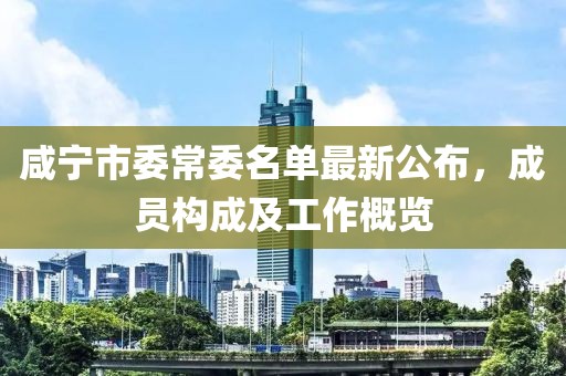 咸寧市委常委名單最新公布，成員構(gòu)成及工作概覽