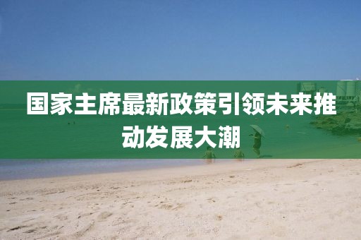 國家主席最新政策引領(lǐng)未來推動(dòng)發(fā)展大潮