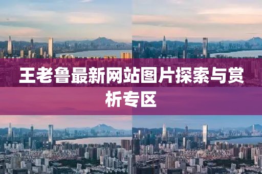 王老魯最新網(wǎng)站圖片探索與賞析專區(qū)