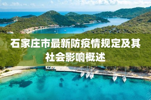 石家莊市最新防疫情規(guī)定及其社會(huì)影響概述