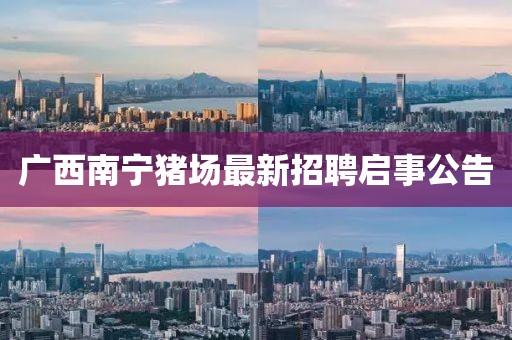 廣西南寧豬場(chǎng)最新招聘啟事公告