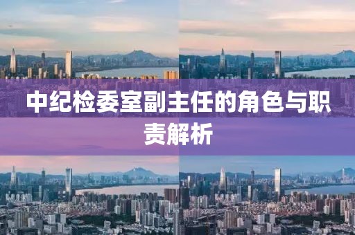 中紀(jì)檢委室副主任的角色與職責(zé)解析