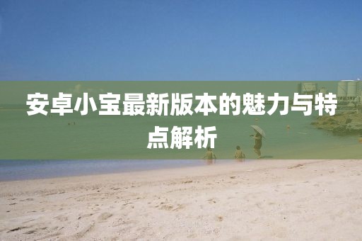 安卓小寶最新版本的魅力與特點解析