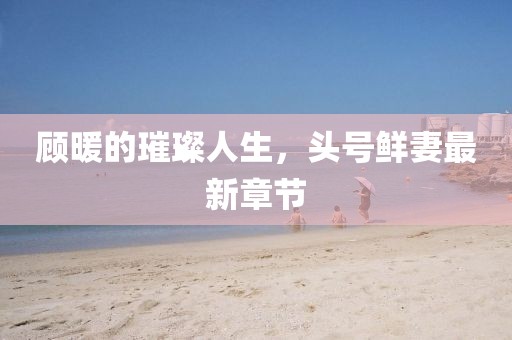 顧暖的璀璨人生，頭號(hào)鮮妻最新章節(jié)