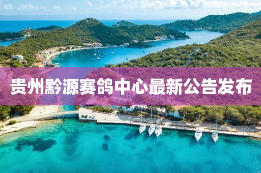 貴州黔源賽鴿中心最新公告發(fā)布