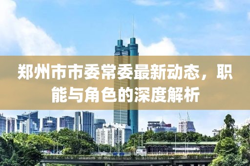 鄭州市市委常委最新動態(tài)，職能與角色的深度解析