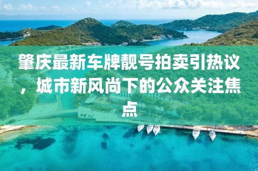 肇慶最新車牌靚號拍賣引熱議，城市新風(fēng)尚下的公眾關(guān)注焦點(diǎn)