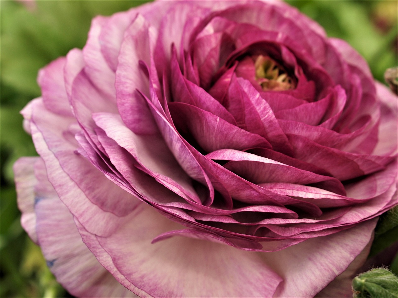 東和環(huán)保引領(lǐng)綠色發(fā)展，先鋒力量展現(xiàn)最新環(huán)保動(dòng)態(tài)