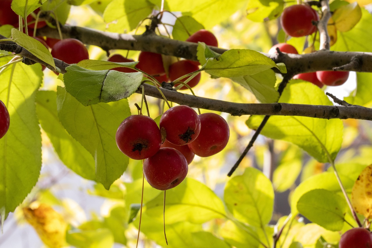 黔西撤縣建市最新動態(tài)，縣域經(jīng)濟轉(zhuǎn)型升級邁入新篇章