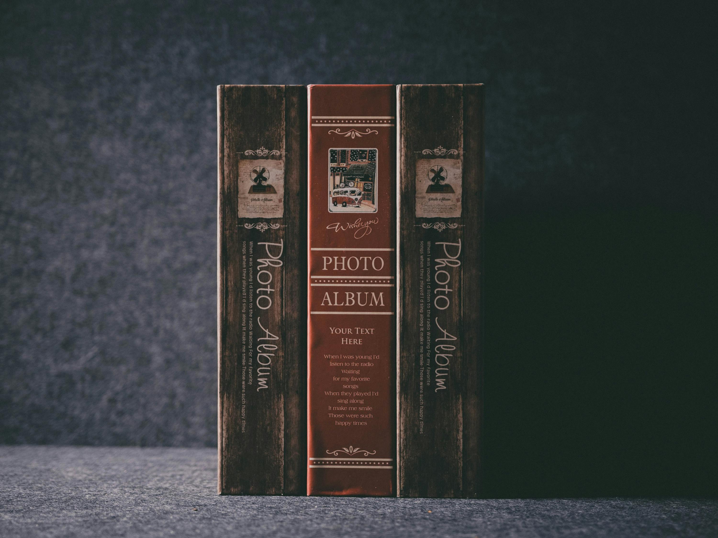 儀隴新聞網(wǎng)最新爆料解析，地區(qū)新動態(tài)與熱點話題深度探討