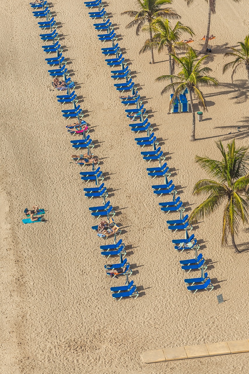 迷你世界最新版，探索與體驗(yàn)之旅