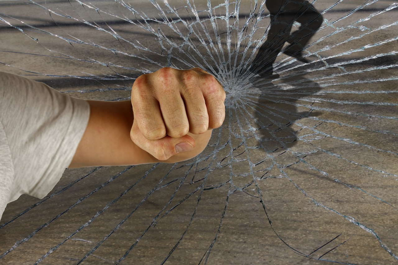 龍的世界最新破解版，警示違法犯罪的虛擬世界風(fēng)險(xiǎn)揭秘