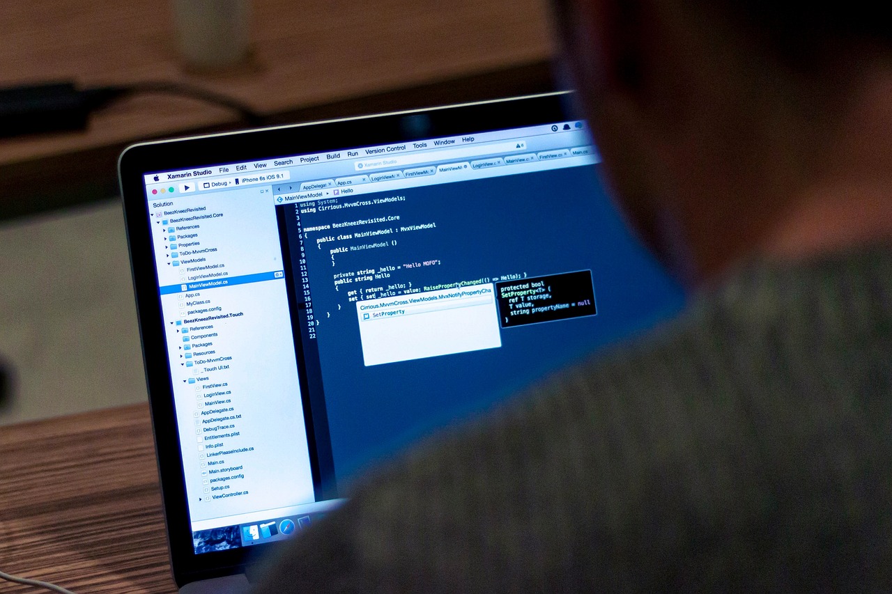 香港競(jìng)之王浮漂最新款，現(xiàn)代釣魚尖端技術(shù)的探索與體驗(yàn)