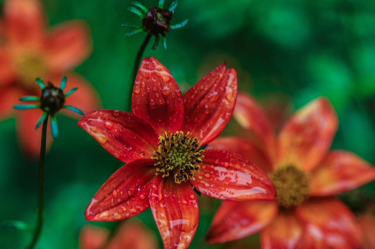 望都瑪?shù)旅甲钚聞?dòng)態(tài)揭秘，未來生活的序幕開啟