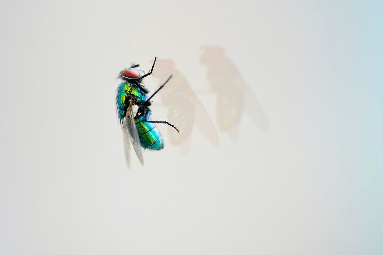 天天炫斗血爺戰(zhàn)力傲視群雄，最新戰(zhàn)力震撼來襲