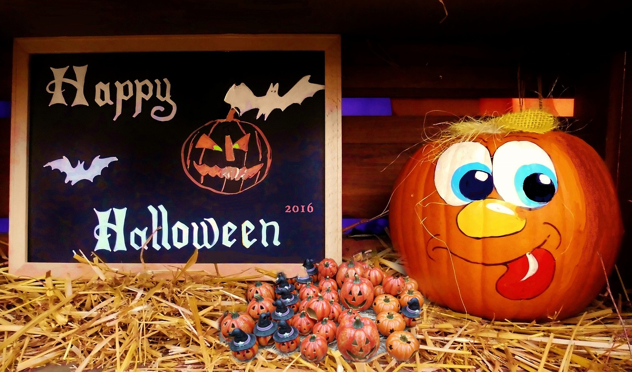 凱里張淼最新動態(tài)揭秘，探尋神秘面紗下的最新消息