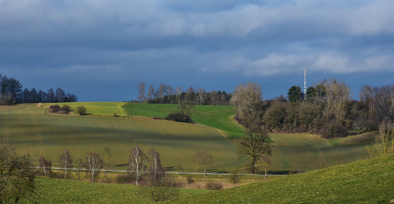 上海土地拍賣最新動(dòng)態(tài)，市場(chǎng)走勢(shì)、政策影響與未來(lái)展望