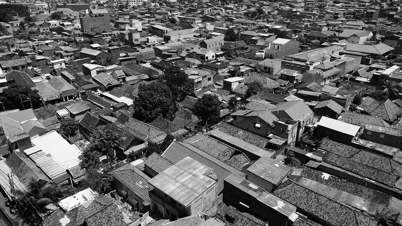 言清歡 第27頁(yè)