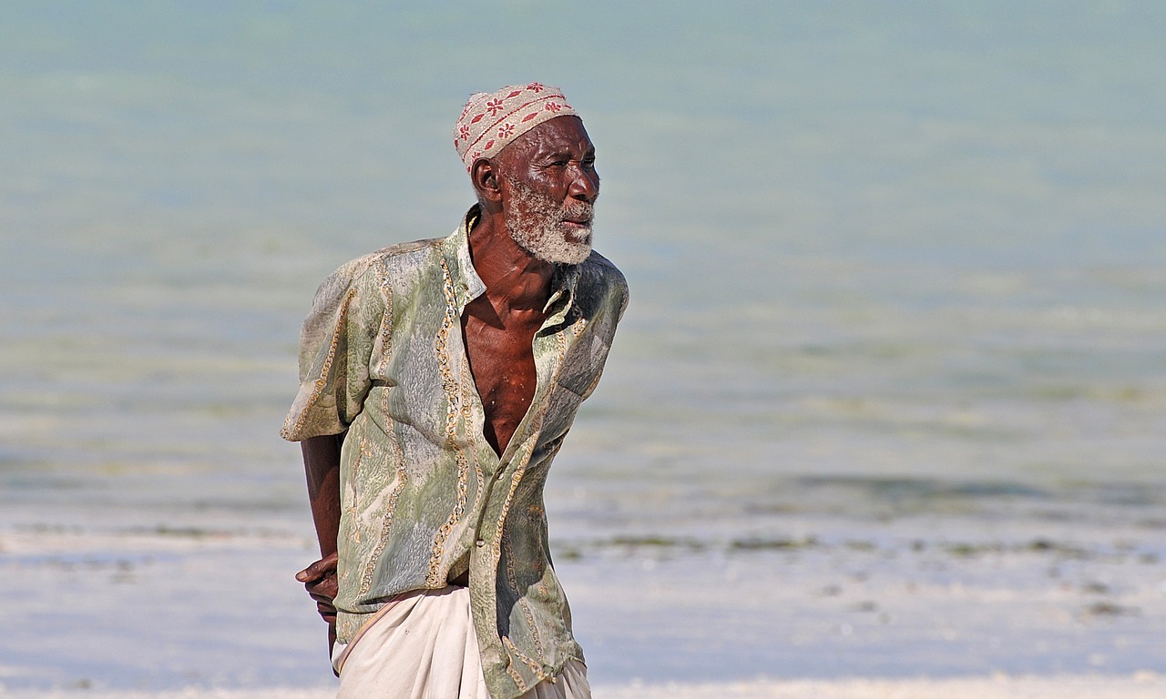 中華孝道園最新消息,中華孝道園最新動態(tài)，傳承與創(chuàng)新的融合
