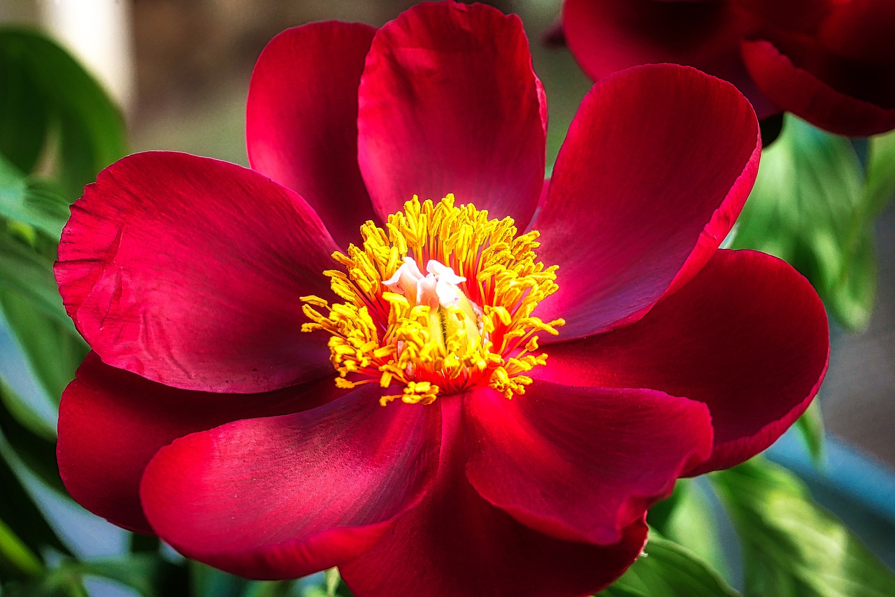 退休交醫(yī)保政策最新動(dòng)態(tài)，調(diào)整、展望與未來趨勢(shì)