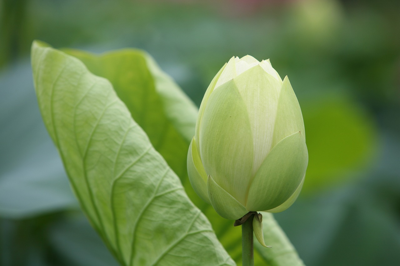 大地傳媒重組最新動(dòng)態(tài)，重塑傳媒產(chǎn)業(yè)格局取得重大進(jìn)展