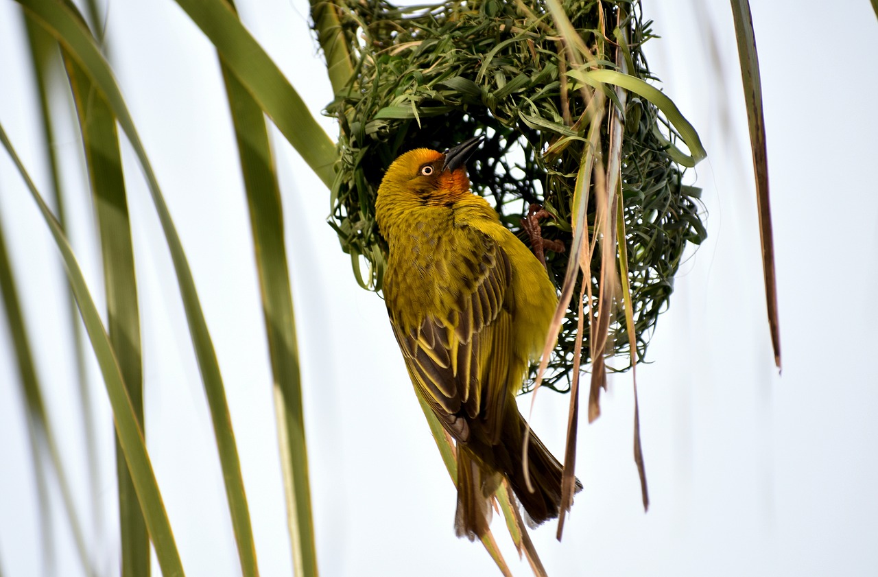 東莞建暉紙業(yè)最新招聘動態(tài)及職業(yè)發(fā)展探討，招聘信息與職業(yè)發(fā)展機會一覽