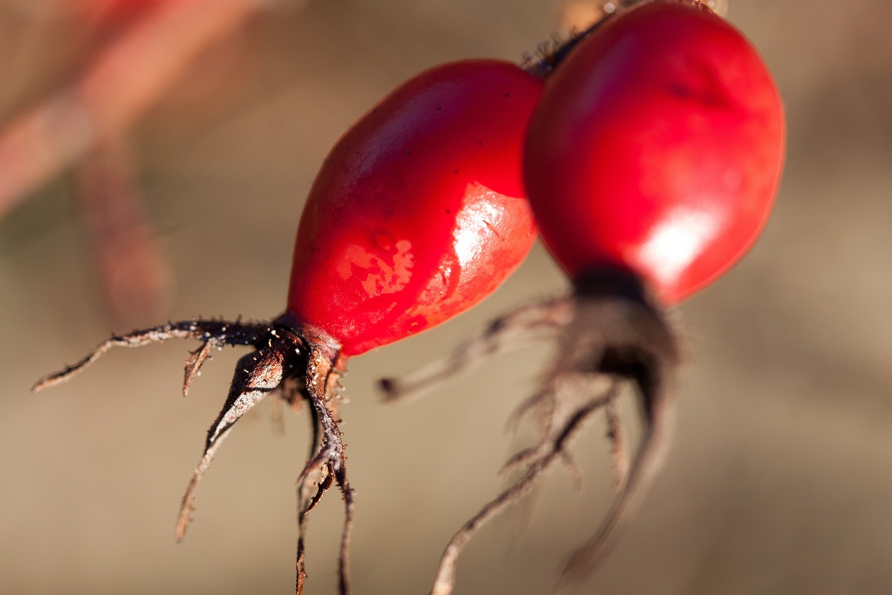 邳州工廠招工最新動(dòng)態(tài)，探尋發(fā)展機(jī)遇，共筑美好未來(lái)