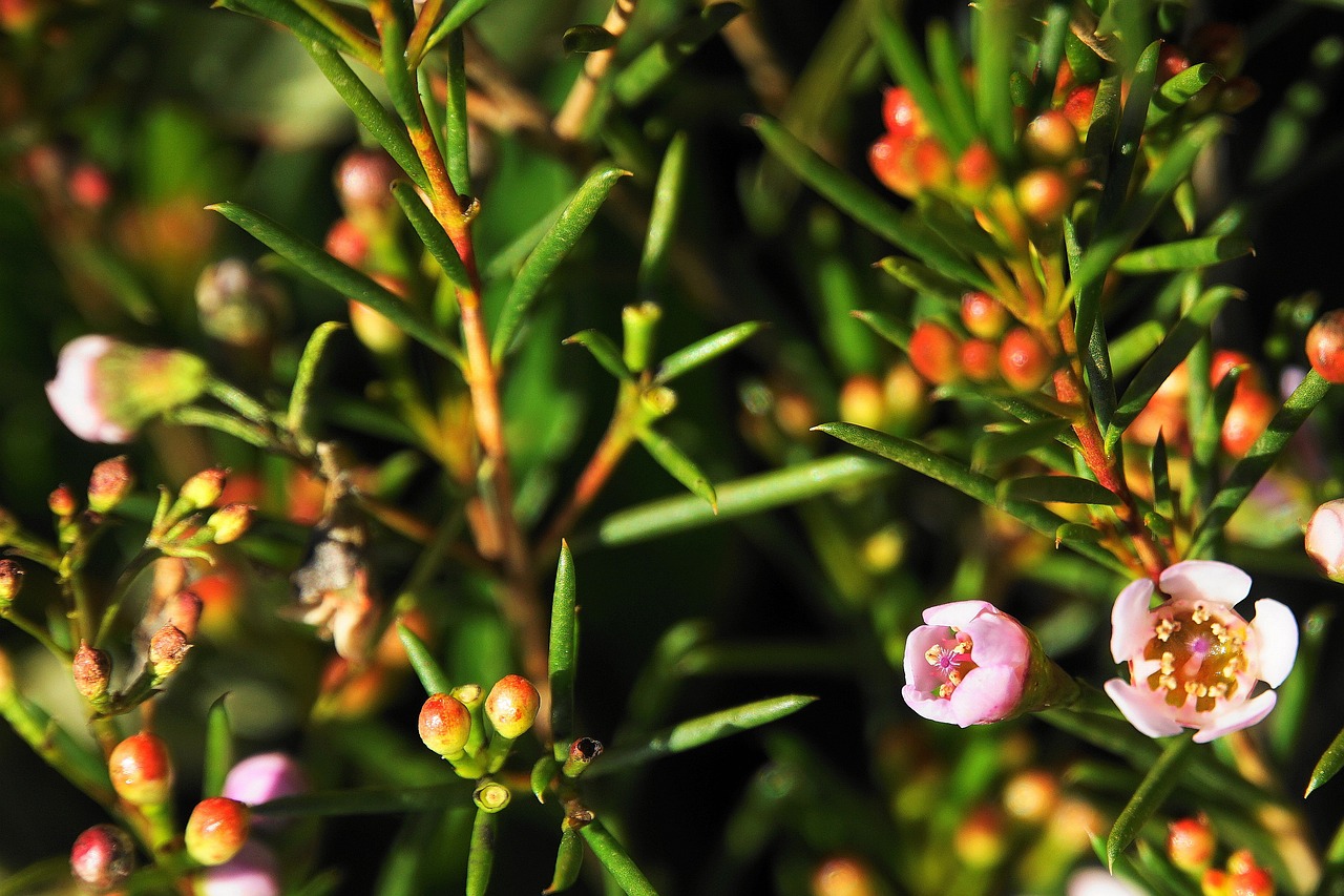 神奇小村長的最新章節(jié)更新動(dòng)態(tài)