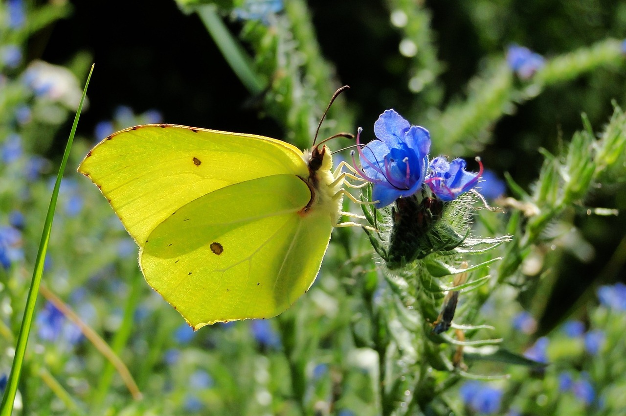 天津津南永旺最新狀況概覽，最新進(jìn)展與動(dòng)態(tài)更新