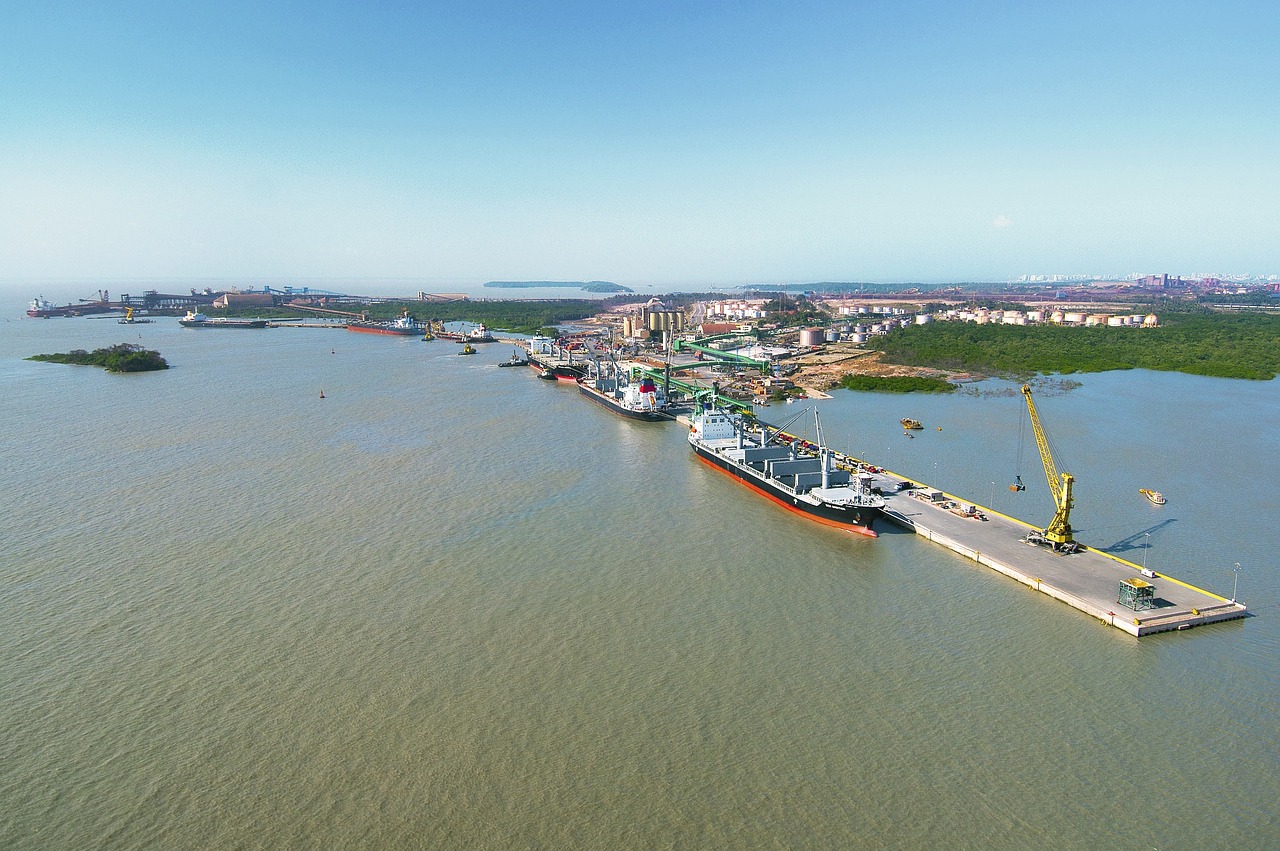 國產(chǎn)大豆收購最新動態(tài)，市場趨勢與產(chǎn)業(yè)動態(tài)深度解析