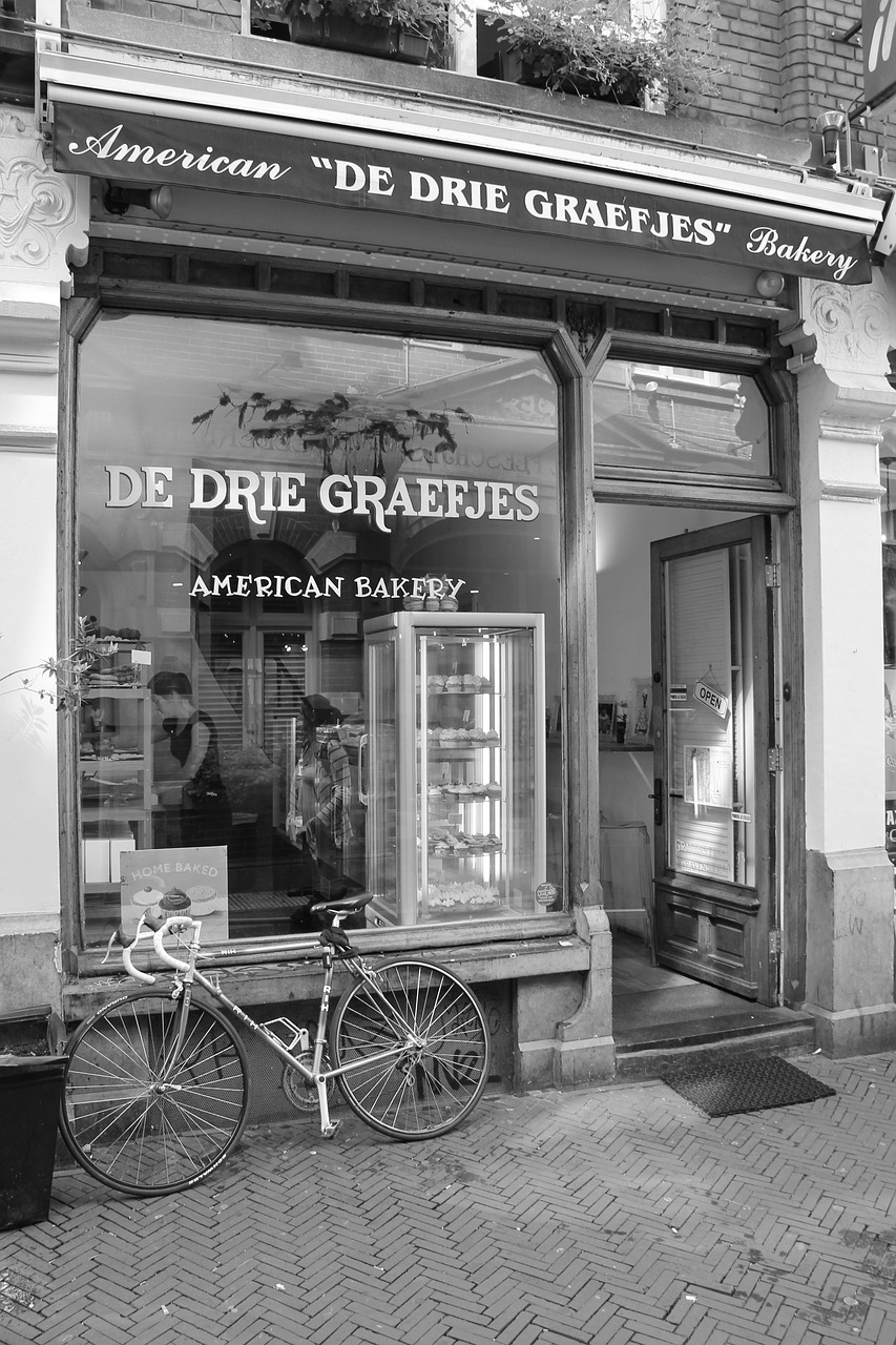 鳳翔湖濱世紀(jì)最新動(dòng)態(tài)，成為城市發(fā)展的璀璨明珠