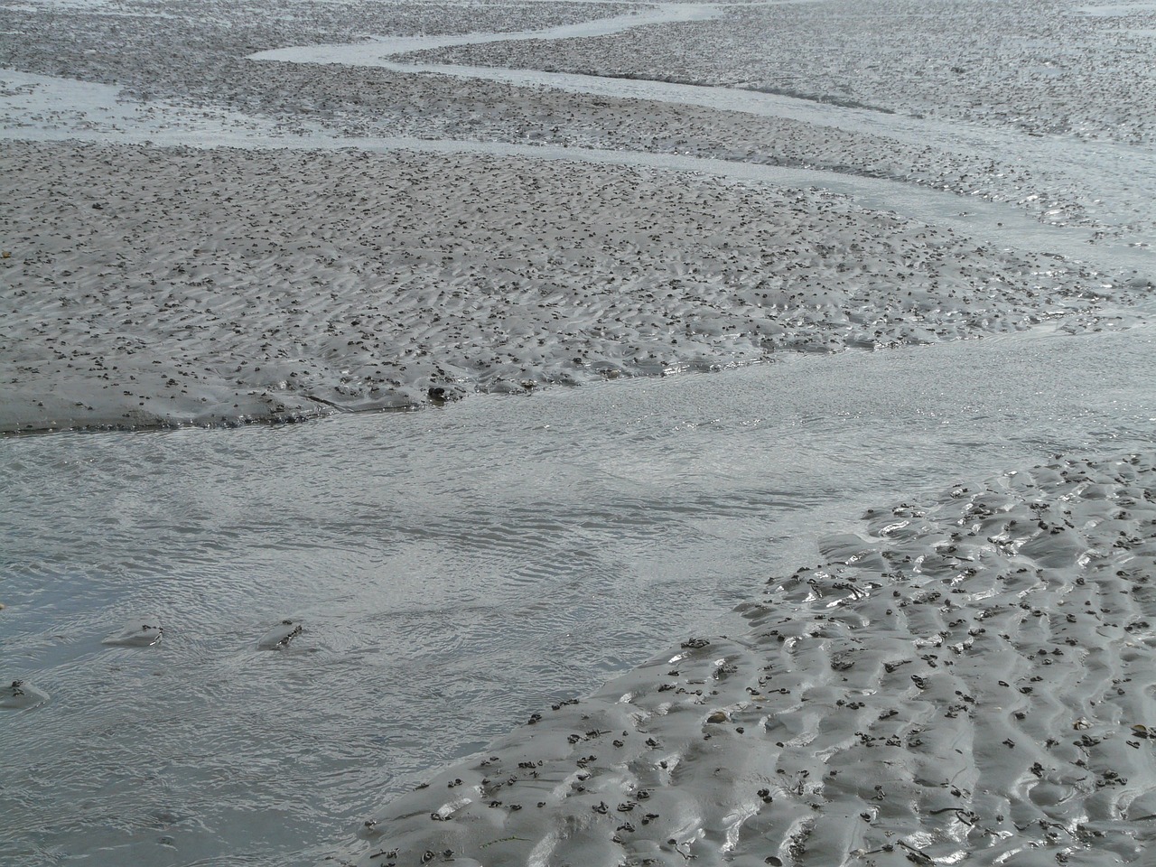 北海傳銷最新動態(tài)曝光，真相揭秘與風(fēng)險警惕