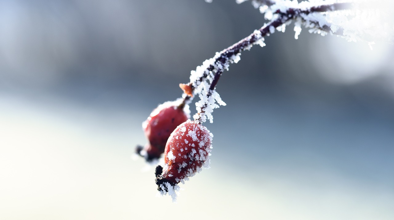 資興新房出售最新消息揭秘，最新房源動(dòng)態(tài)與優(yōu)惠信息一網(wǎng)打盡！