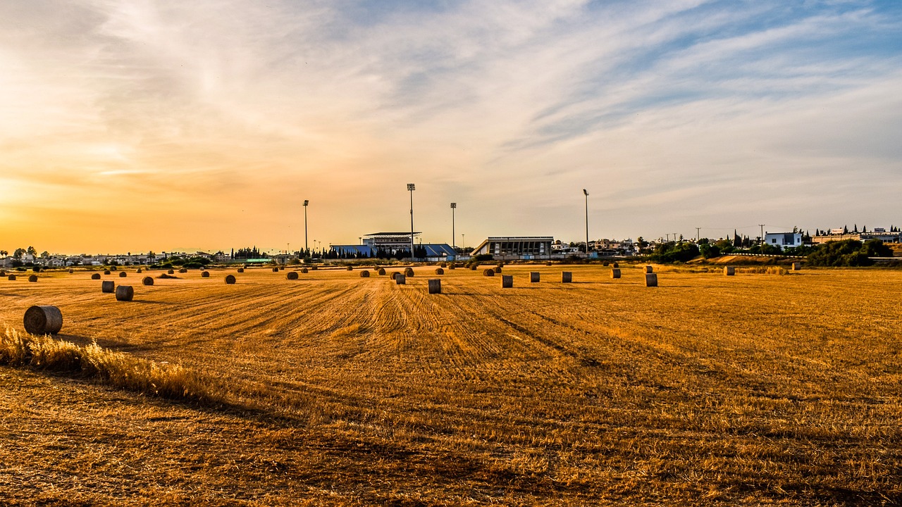 地稅機(jī)構(gòu)改革最新動(dòng)態(tài)，深化稅務(wù)改革，優(yōu)化服務(wù)以提升效率