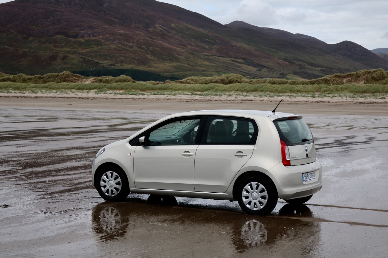 沈山高速擴(kuò)建最新動態(tài)更新，擴(kuò)建進(jìn)展揭秘