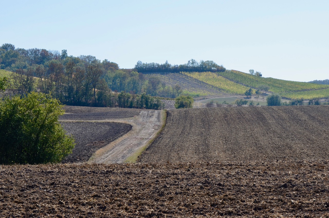 小藍(lán)工業(yè)園最新招聘動(dòng)態(tài)，崗位空缺與產(chǎn)業(yè)影響力分析