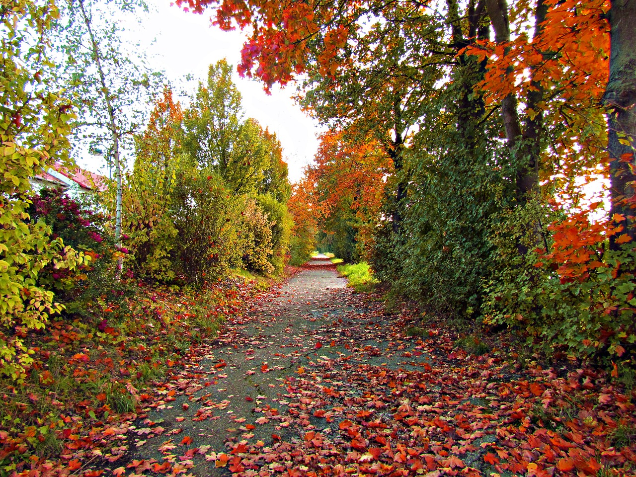 和橋招聘網(wǎng)最新招聘動態(tài)及職業(yè)發(fā)展黃金機會