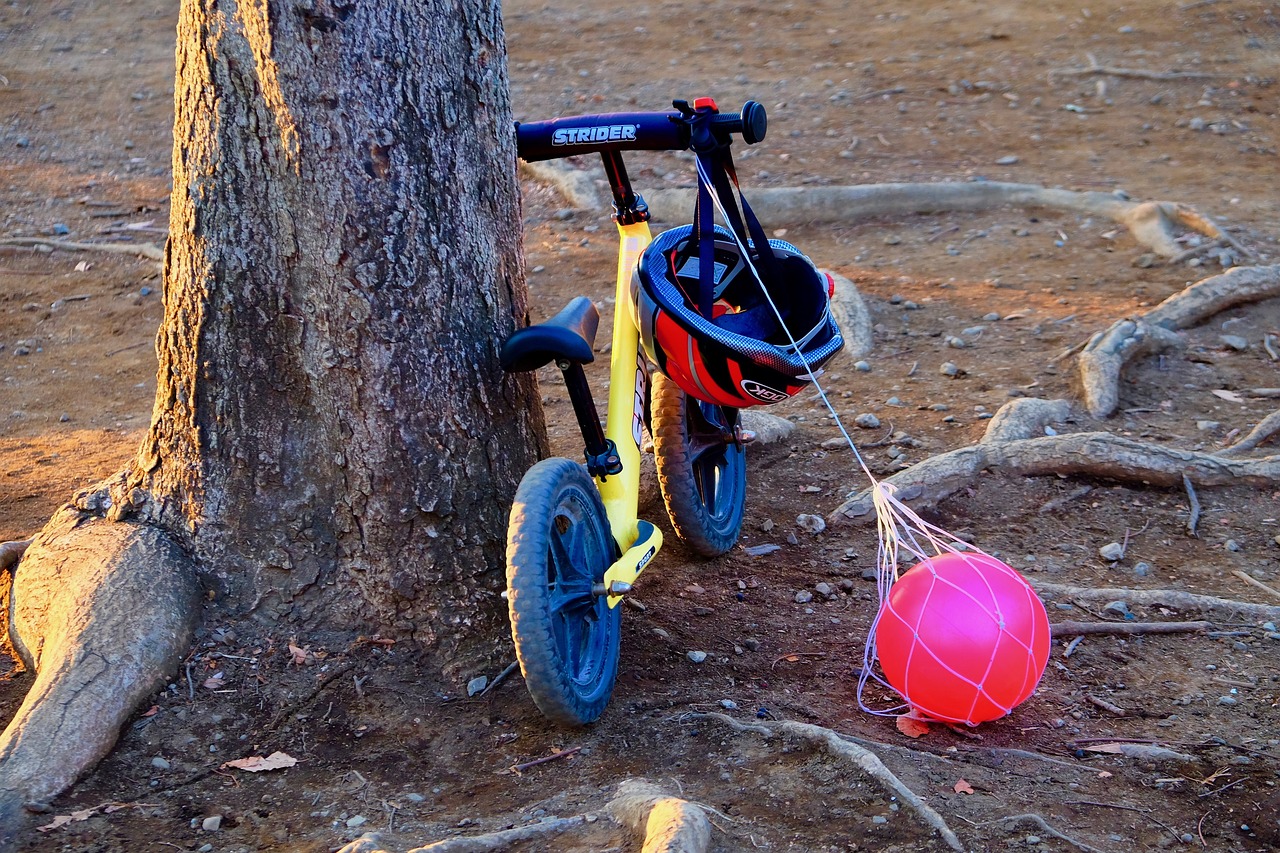 收養(yǎng)法修改最新動態(tài)，重塑收養(yǎng)制度，保障兒童權益