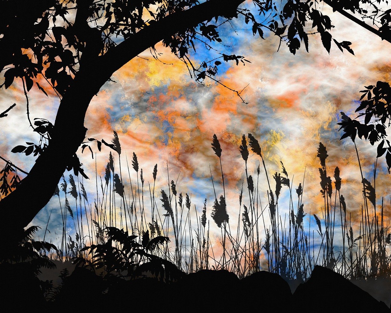 探尋靈魂的迷離之旅，魂不守舍沈秋最新章節(jié)