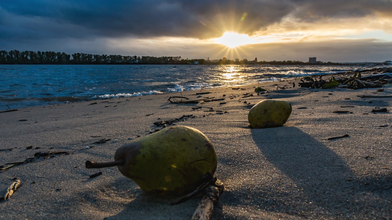 秦皇島市房價(jià)最新消息全面解析與更新動(dòng)態(tài)