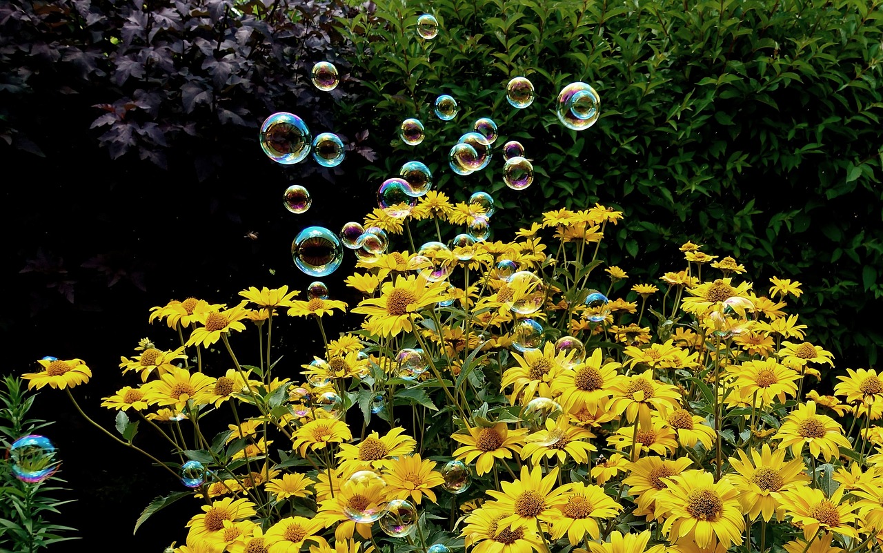 盱眙馬壩鐵路最新動態(tài)，深度解析最新消息