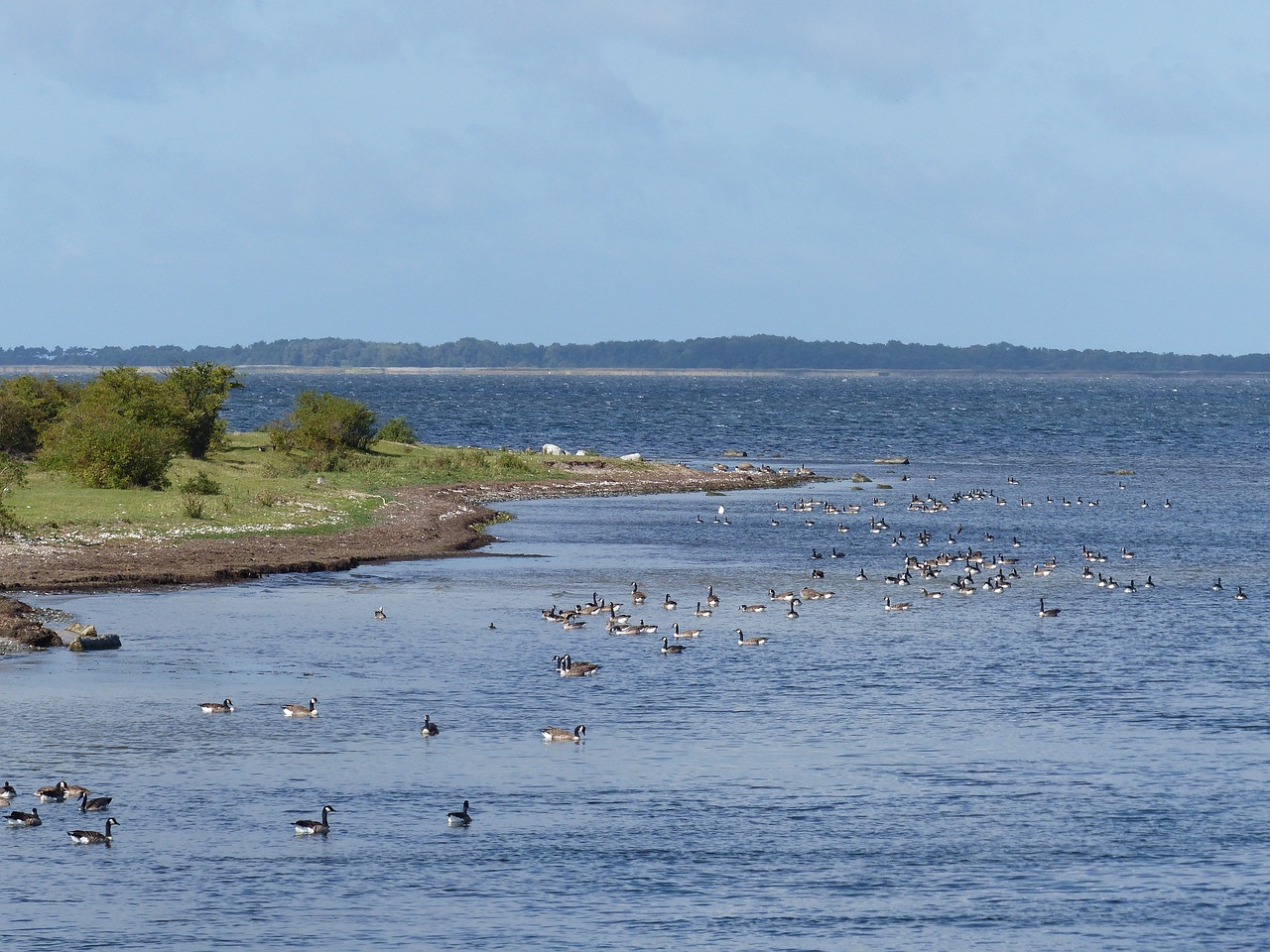 澄邁景園悅海灣最新房價(jià)動態(tài)解析及趨勢展望