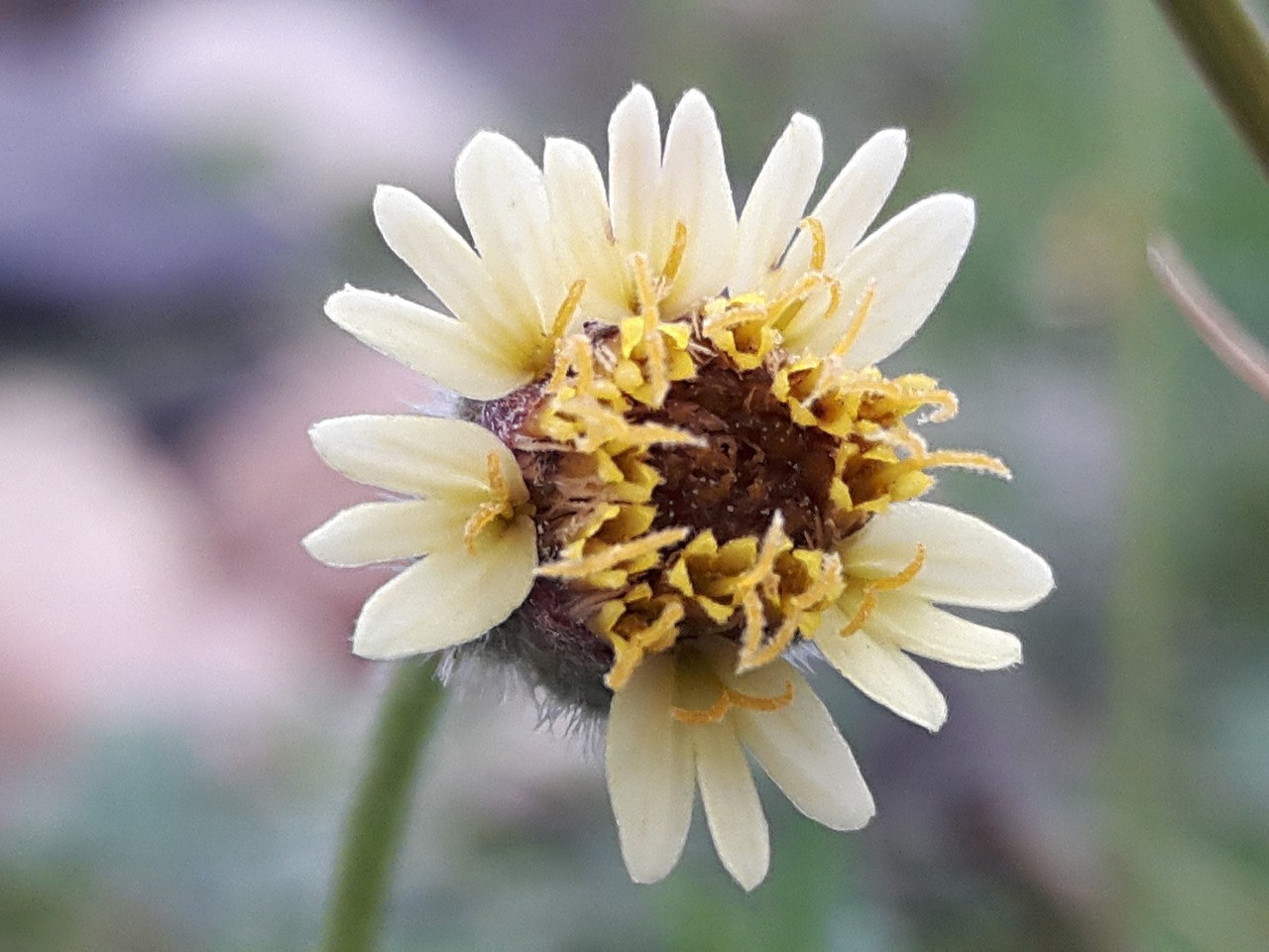 烏市地鐵招工最新動(dòng)態(tài)，城市軌道交通建設(shè)中的機(jī)遇與挑戰(zhàn)并存