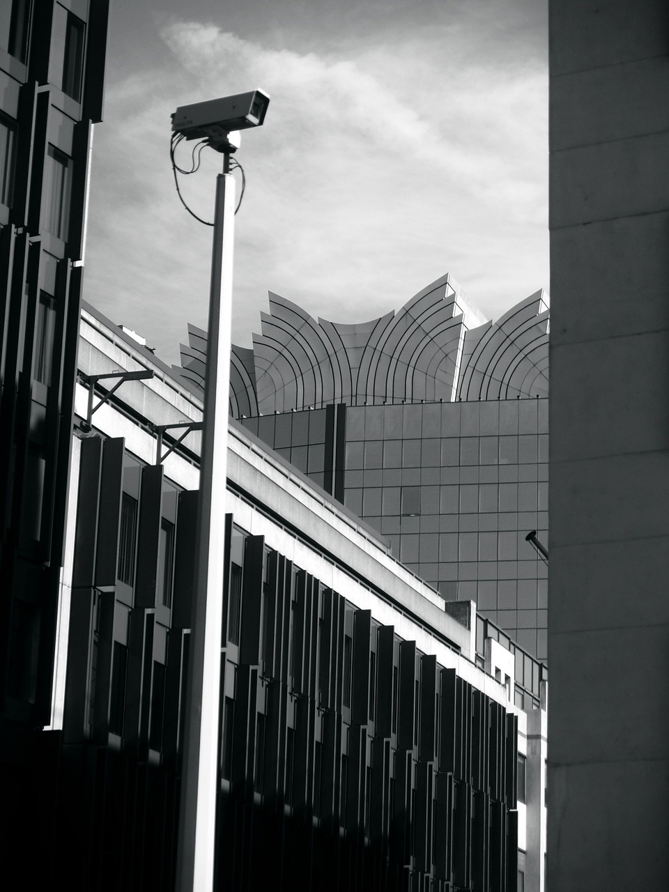 壽縣迎河鎮(zhèn)最新消息概覽，動態(tài)更新與資訊一覽