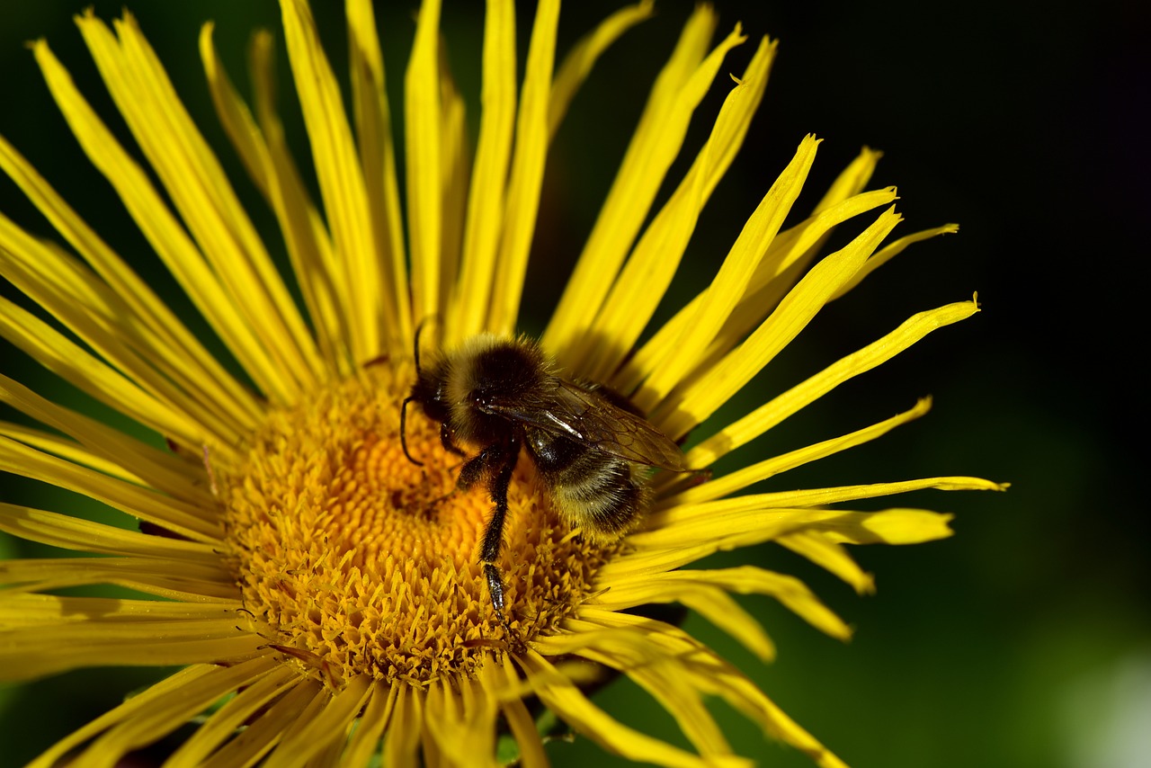 太原城市改造最新動(dòng)態(tài)，煥新顏，發(fā)展提速