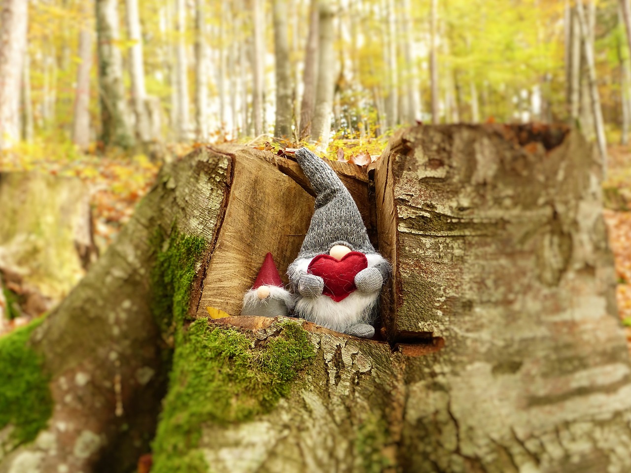 武警王信的英勇事跡與時代精神，最新消息揭秘